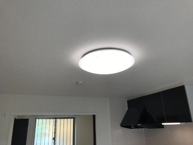 エクセルコートⅡ その他11