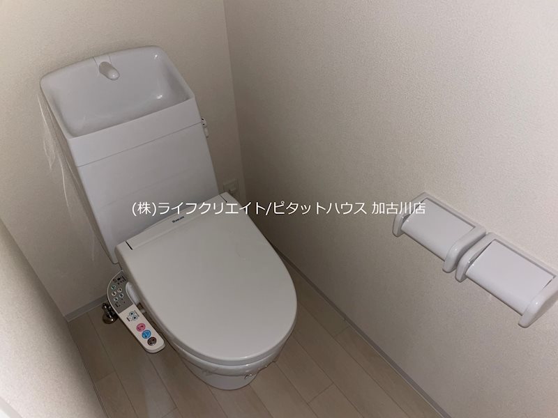 グローリアス その他2