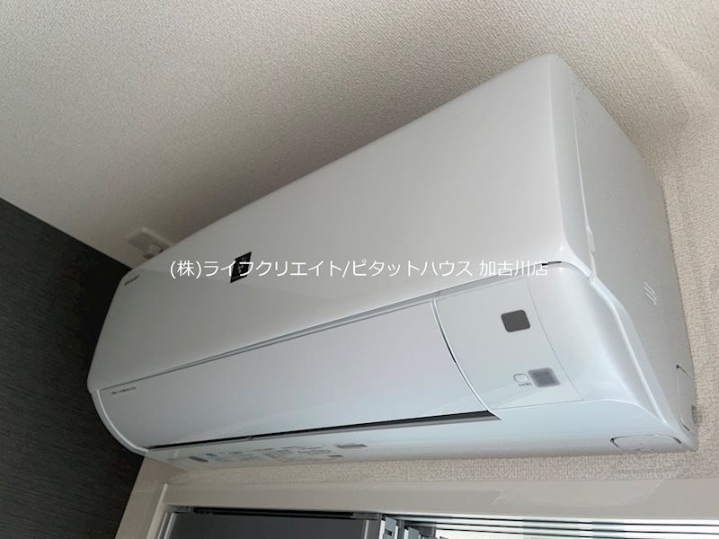 グローリアス その他4