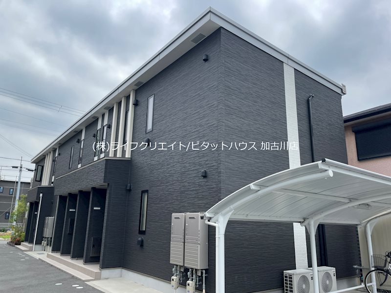 グローリアス その他14