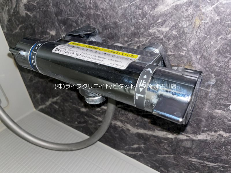 グローリアス その他16