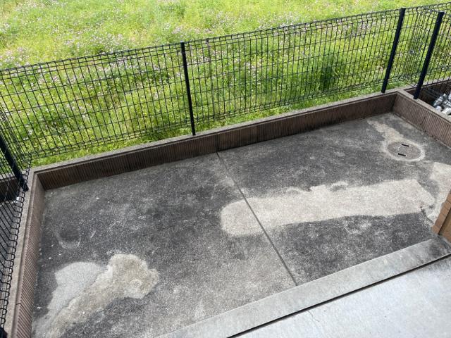 パストラル その他6