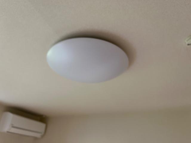 パストラル その他8