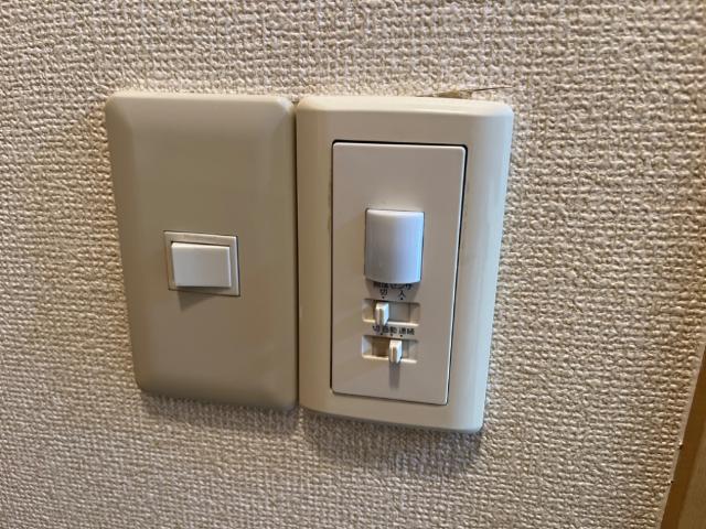 パストラル その他16