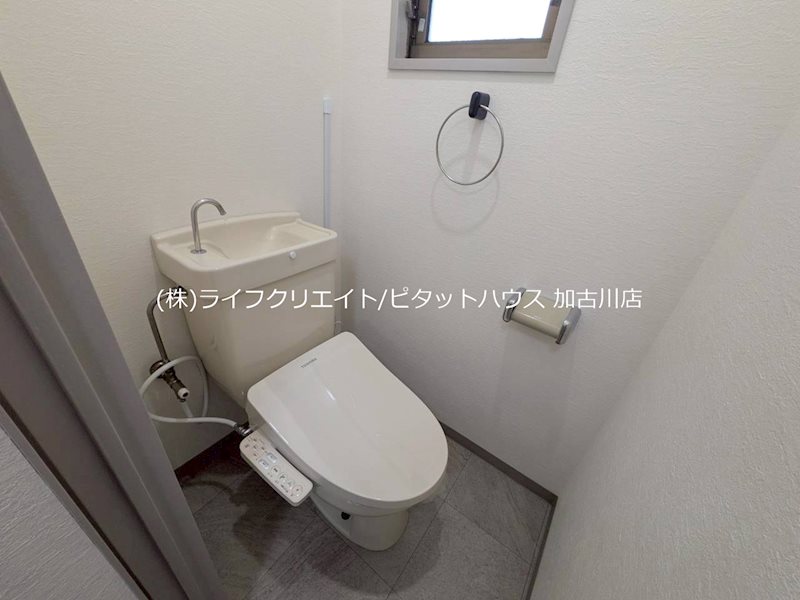 ホワイトシャルム その他3