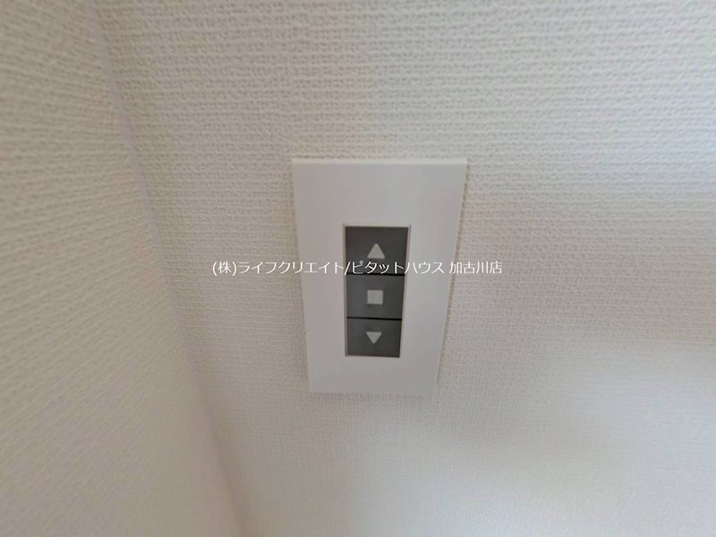 Belle Lead加古川　イチョウ並木 その他15