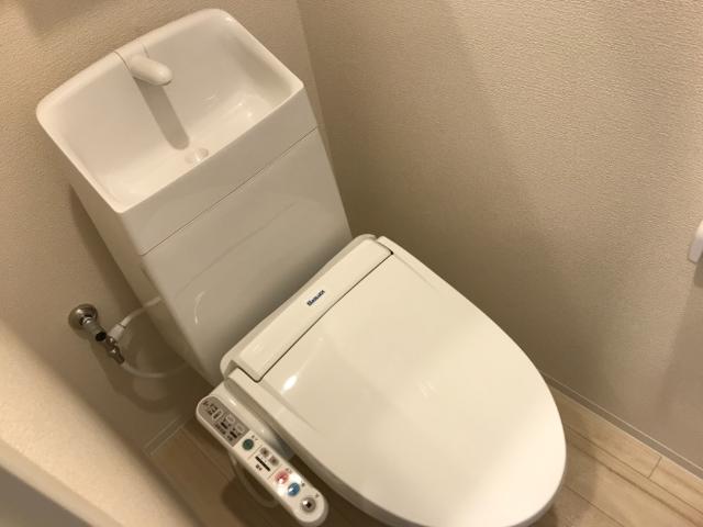 エバーダイク その他1