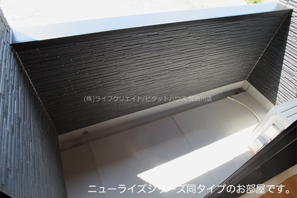 パイン　フォレスト ベランダ