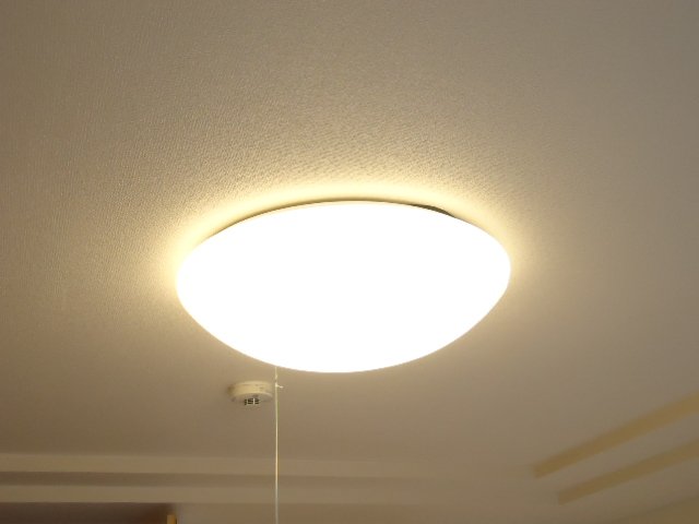 その他16