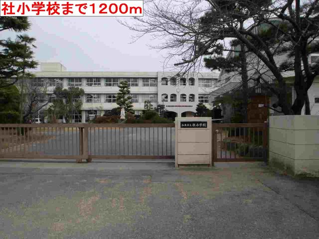 カモミールⅢ　Ａ その他外観4