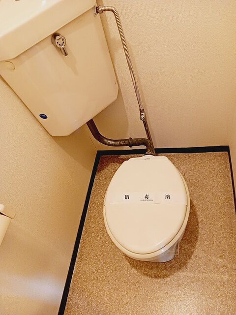 ロイヤル小林 その他4