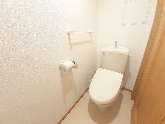 エレガンシア その他2