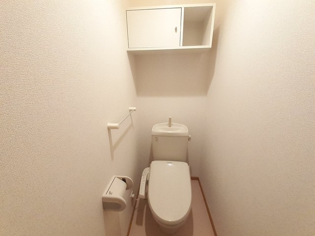 シンヴィオシスＤ その他1