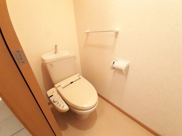 エレガンシア その他2