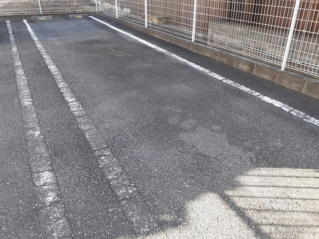 エレガンシア その他7