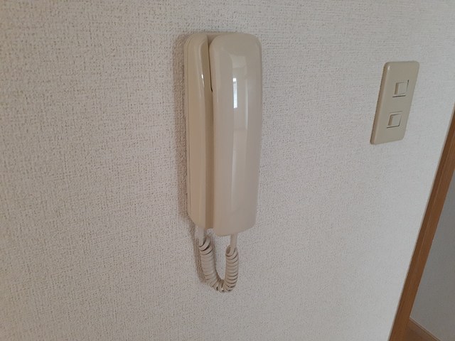 カーペンターⅡ その他4