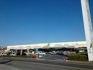 レジーナ　オノ その他外観4