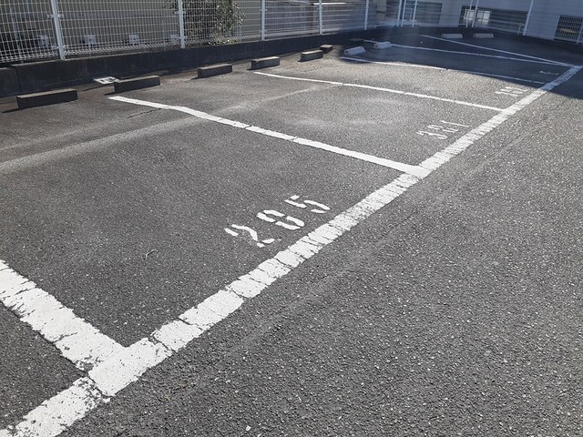 Ｔ・マリッチ その他6