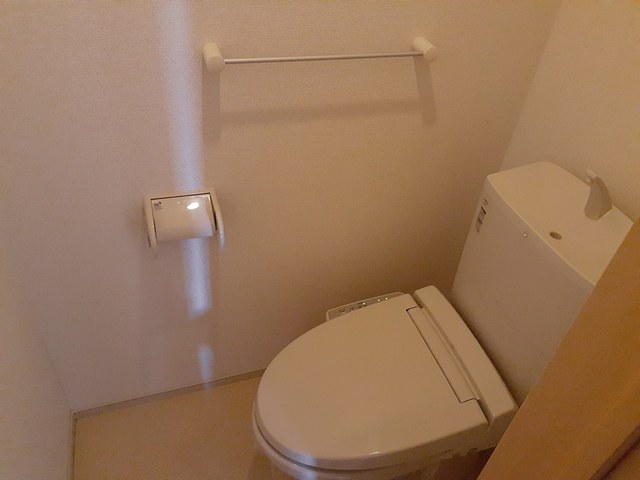 ドラジェ その他3