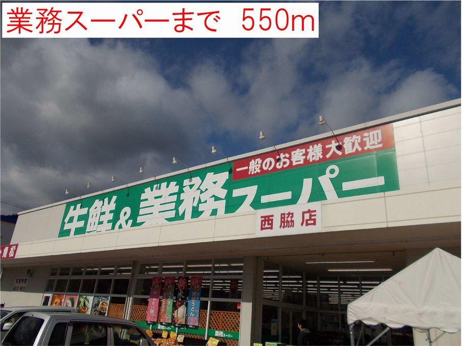 ラッフィナートⅠ その他外観1