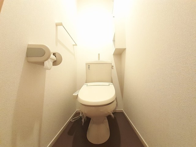 モス　フロックス　ノイ その他2