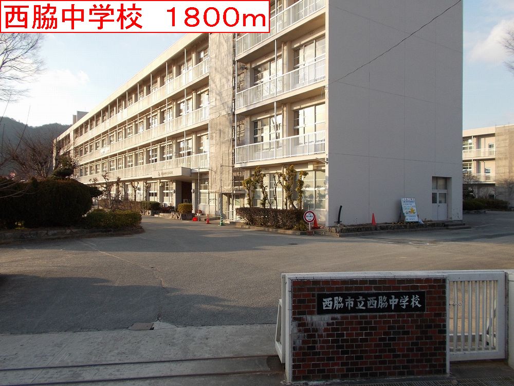 モス　フロックス　ノイ その他外観6