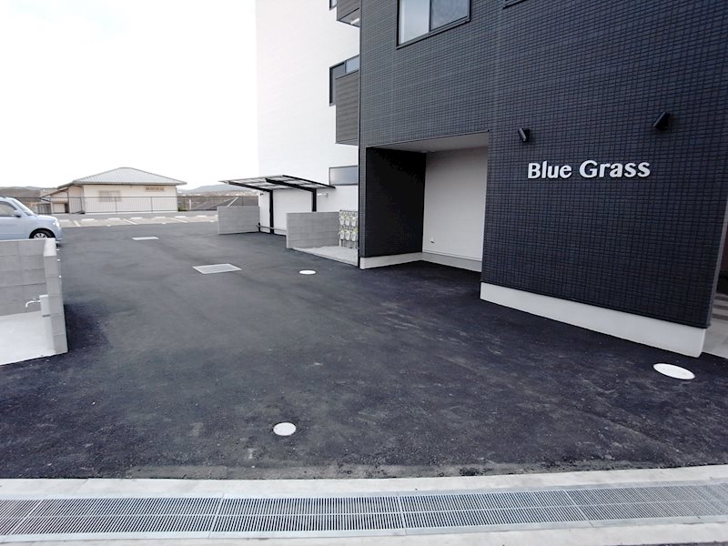 Blue Grass その他6