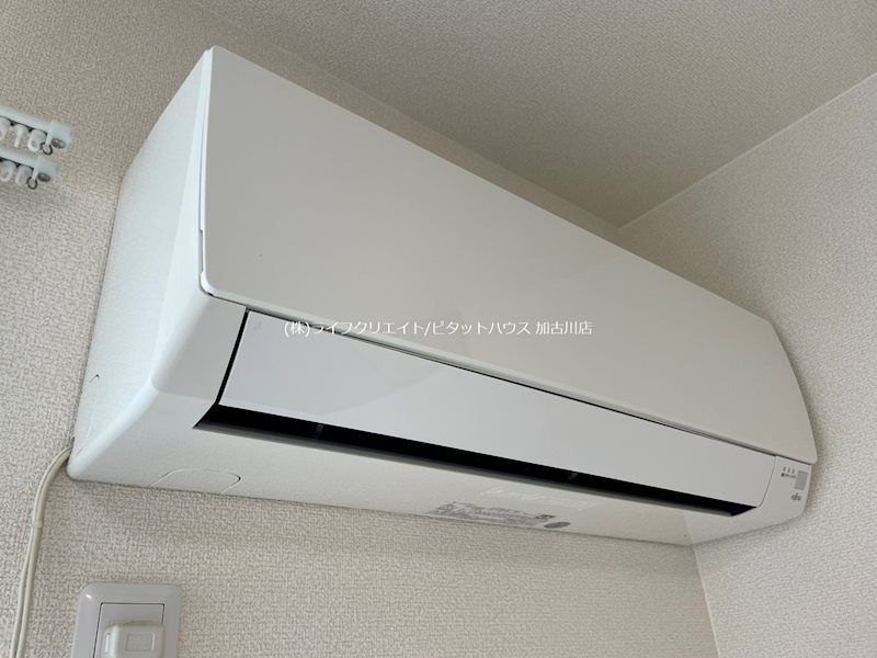 フェリスコンチェルト その他4