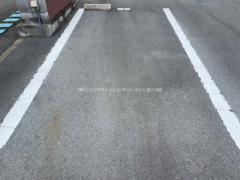 フェリスコンチェルト その他7