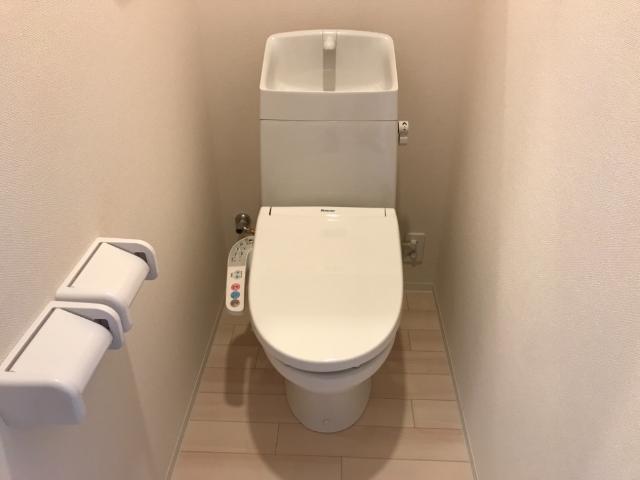ステラコート その他1