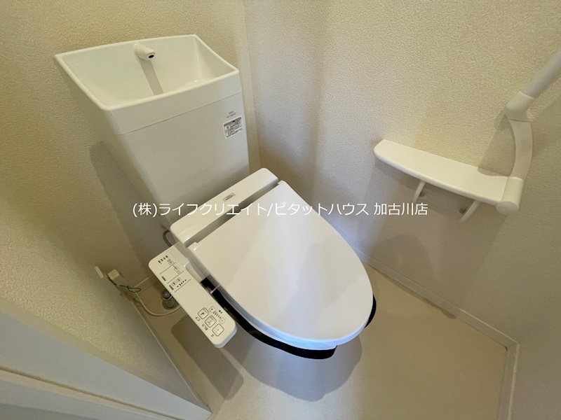 シャーメゾンライグラス その他2