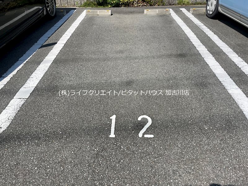 シャーメゾンライグラス その他7