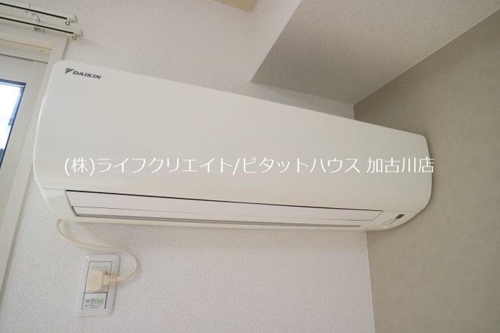 しんでれら・円山　B棟 その他4