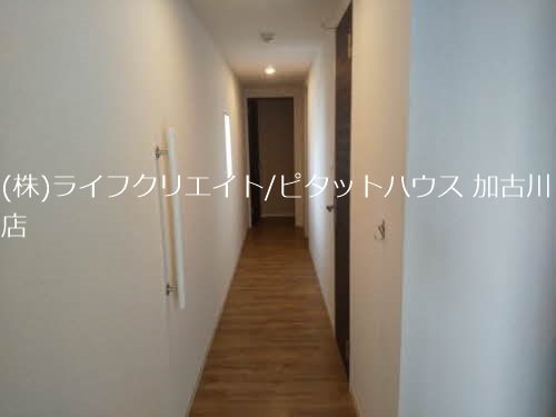 リメインらかん  その他8