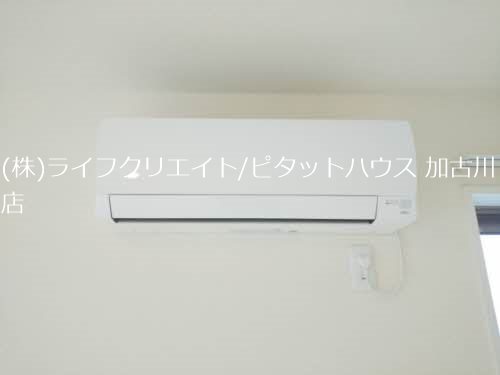ドゥエラ その他4