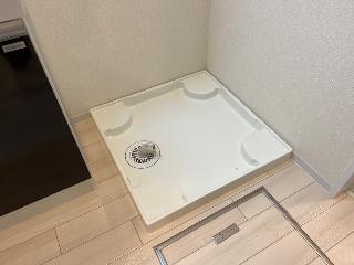 フォルトゥーナ その他8