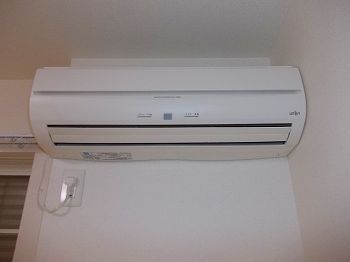ラフレシールＨ その他4