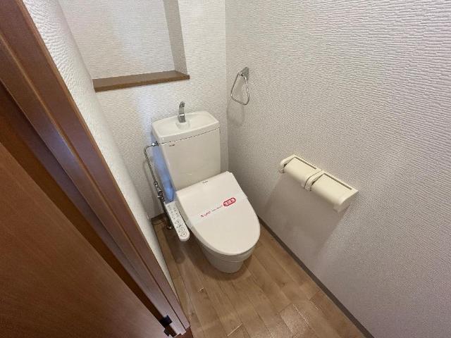 セピア　コンフォース その他2