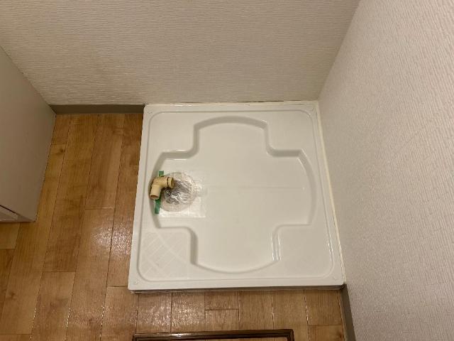 セピア　コンフォース その他12
