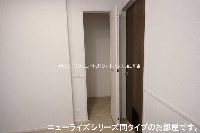 アルドーレ その他3