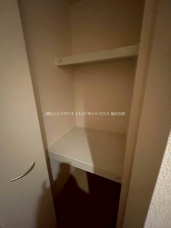 プリマベーラ その他9