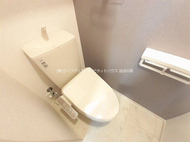 コレクトⅠ その他1