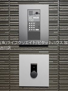 ソラ―ナ その他3