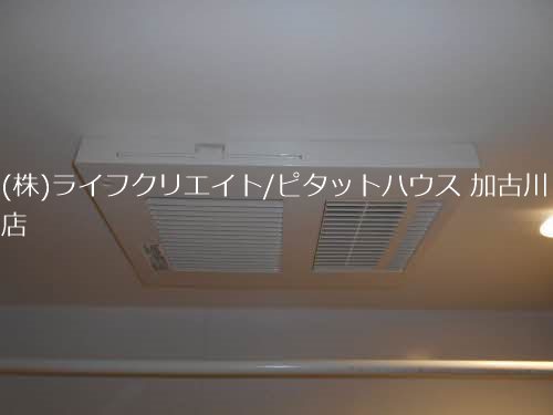 シャーメゾン　トールフェスキュー その他4