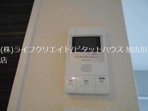シャーメゾン　トールフェスキュー その他5