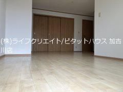 メゾンタカモトI番館  リビング