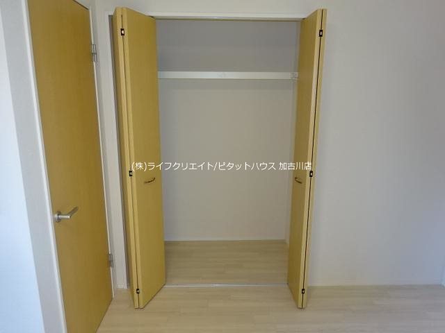 シルフィード三木  その他11