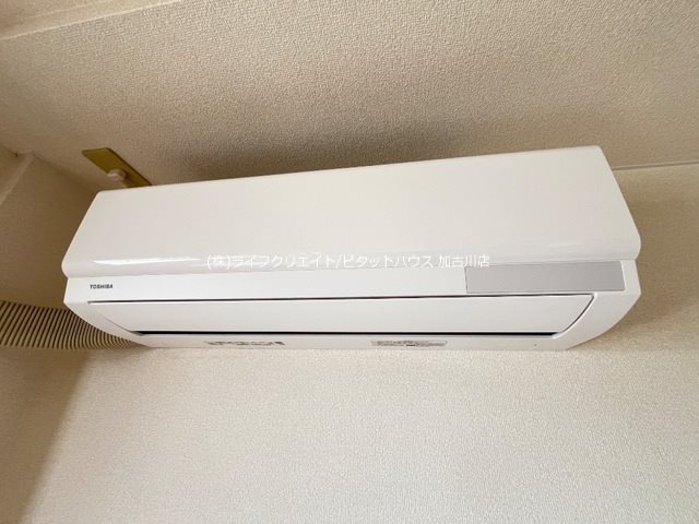 フラワーヒル その他5