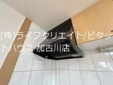 サンフィット その他6