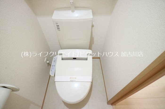メゾン・ドール その他2